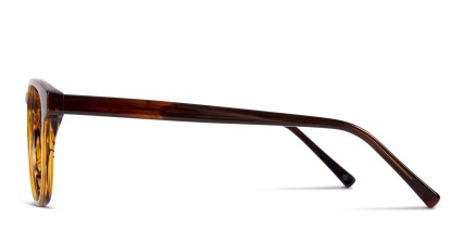 Muse Brenner Tortoise glasses - Tortoise - Side View
