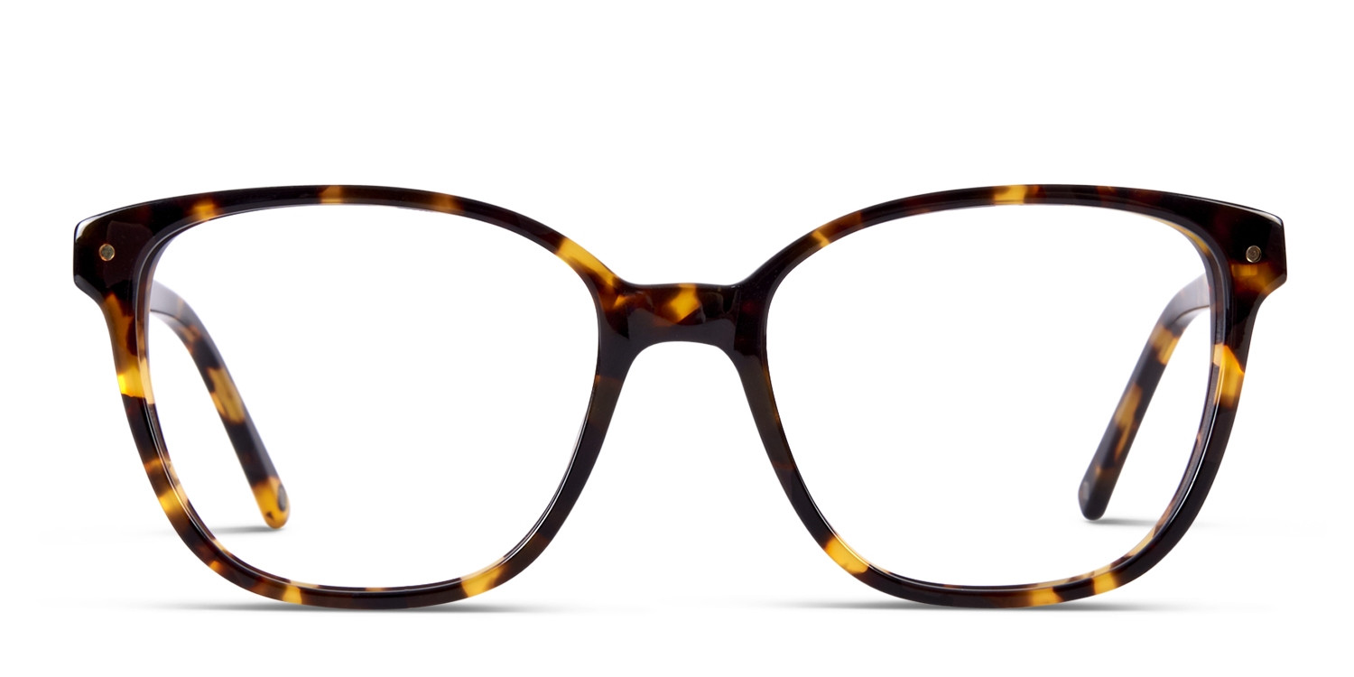 Muse Hopper Tortoise glasses - Tortoise - Frontal View