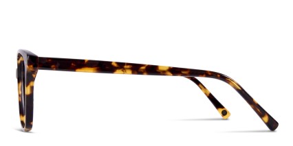 Muse Hopper Tortoise glasses - Tortoise - Side View
