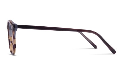 Muse Byers Brown glasses - Brown - Side View